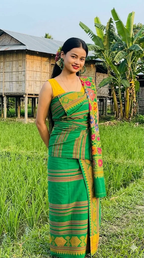 bodo gemini ai promp